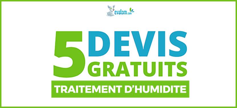 You are currently viewing Top 5 des professionnels sur le traitement d’humidité à Lyon