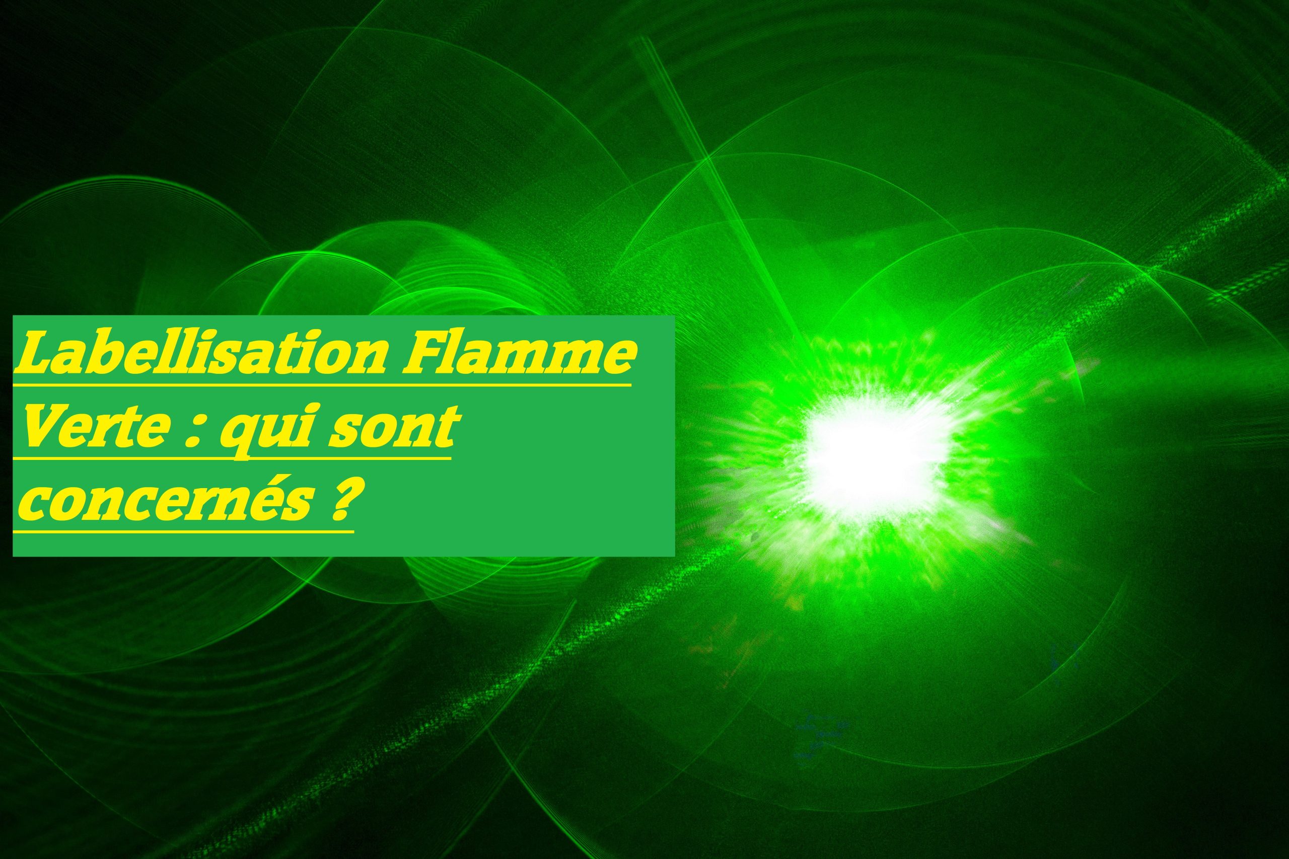 You are currently viewing Labellisation Flamme Verte : qui sont concernés ?