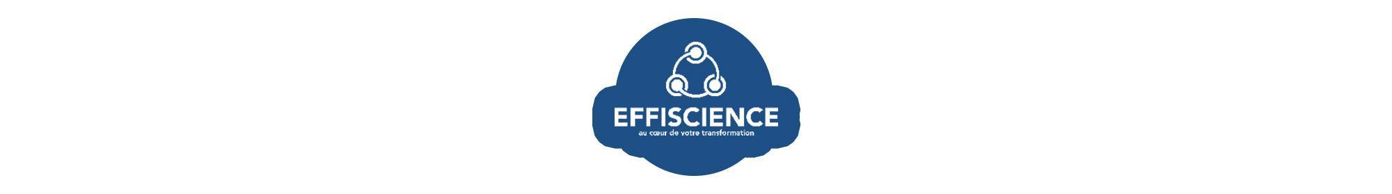 logo effiscience