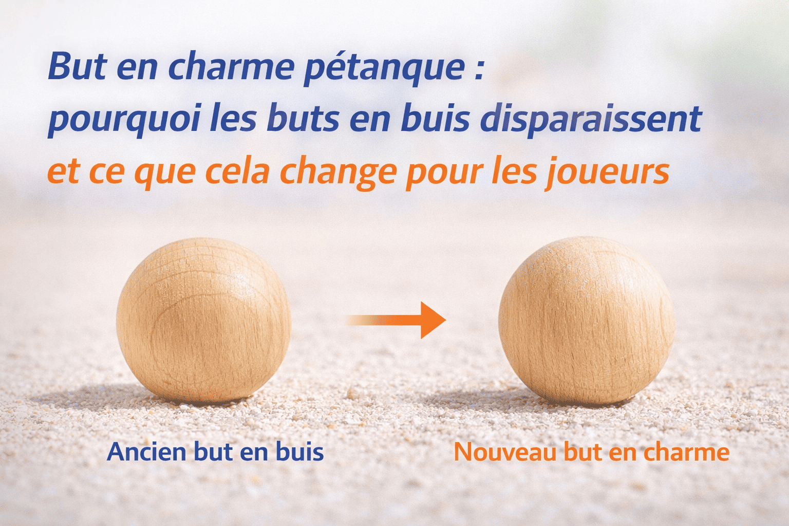 But en charme : pourquoi le but en buis disparaît à la pétanque