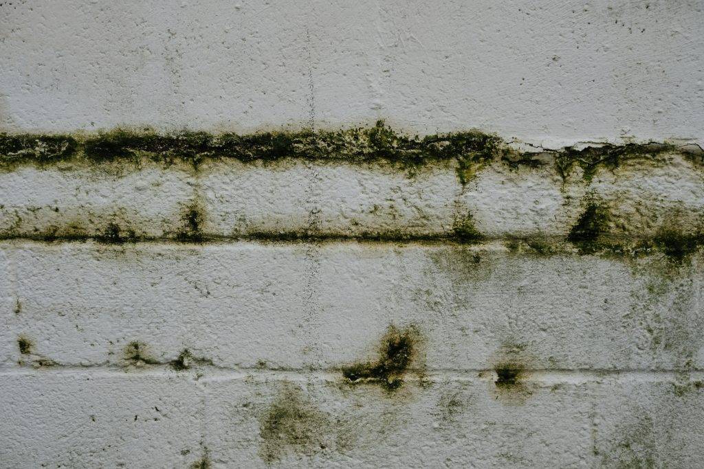 Humidité Mur et Canalisation : Causes, signes et solutions
